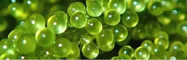 ΢ͼƬ_20220713134526