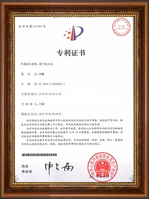 ŷԭҺZL 2016 3 0500657.3