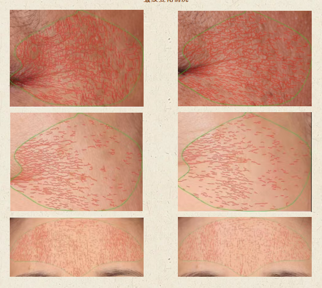 ΢ͼƬ_20250702151417