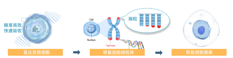 ΢ͼƬ_20250702144432