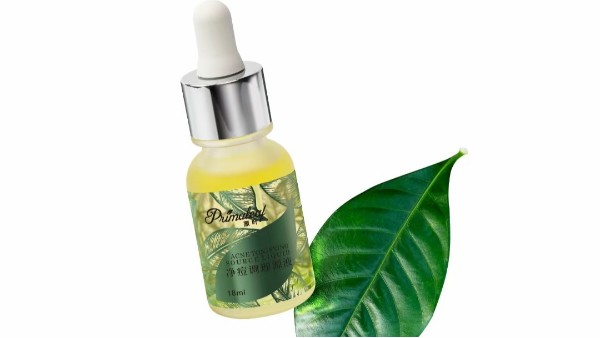 2022껯ױƷҵķʵʩ׼